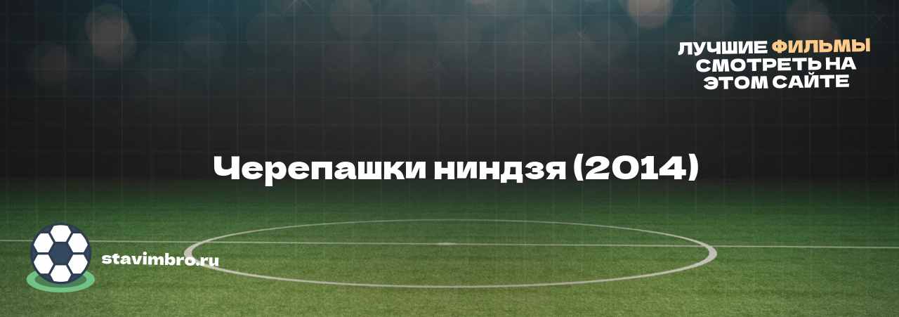   Черепашки ниндзя (2014) - узнайте о фильме на сайте stavimbro.RU