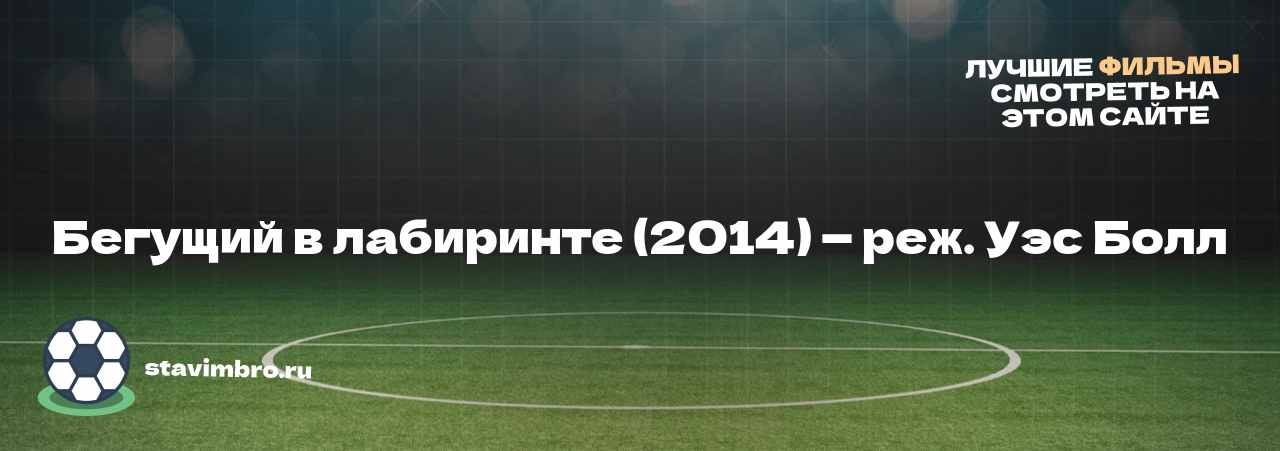 Бегущий в лабиринте (2014) — реж. Уэс Болл - узнайте о фильме на сайте stavimbro.RU